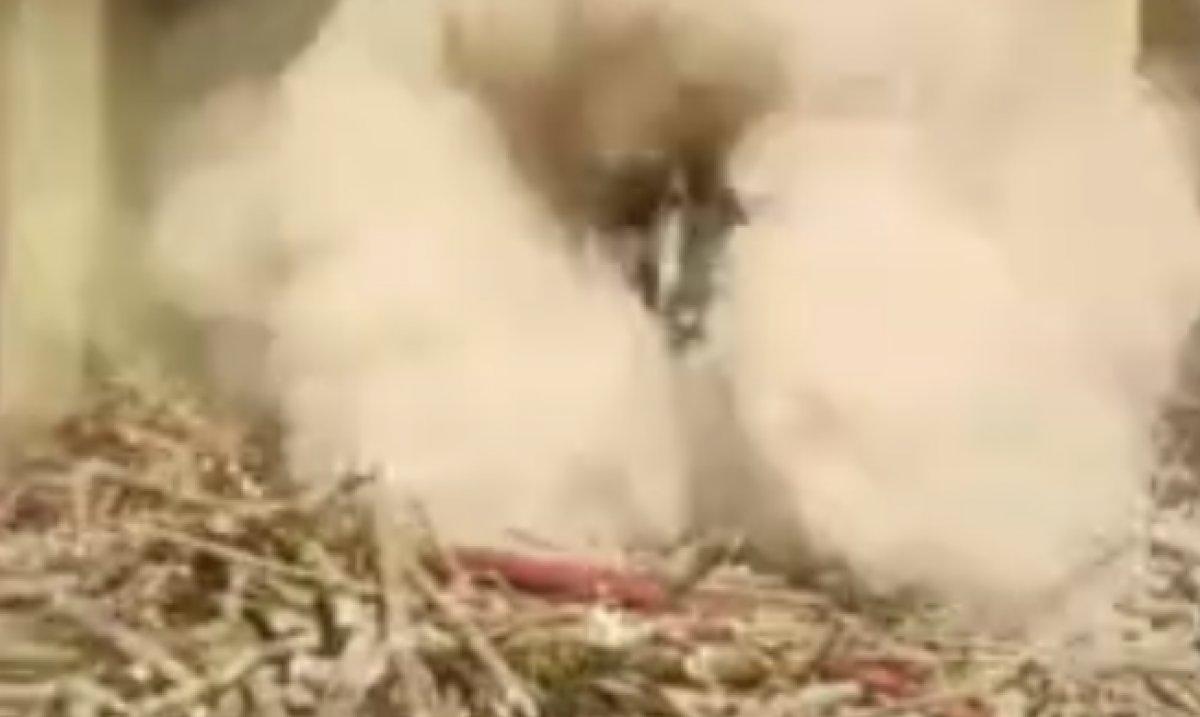 Şanlıurfa’da yangın sonrası patlama