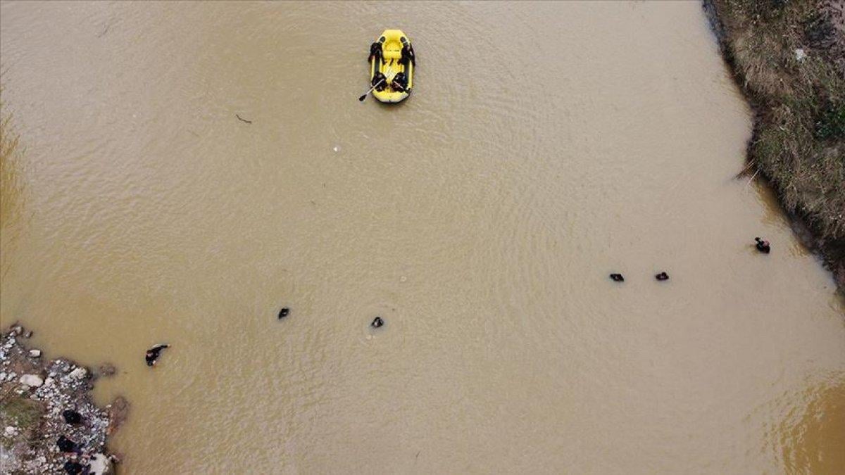 Giresun'da selde kaybolan 1 kişinin daha cansız bedeni bulundu