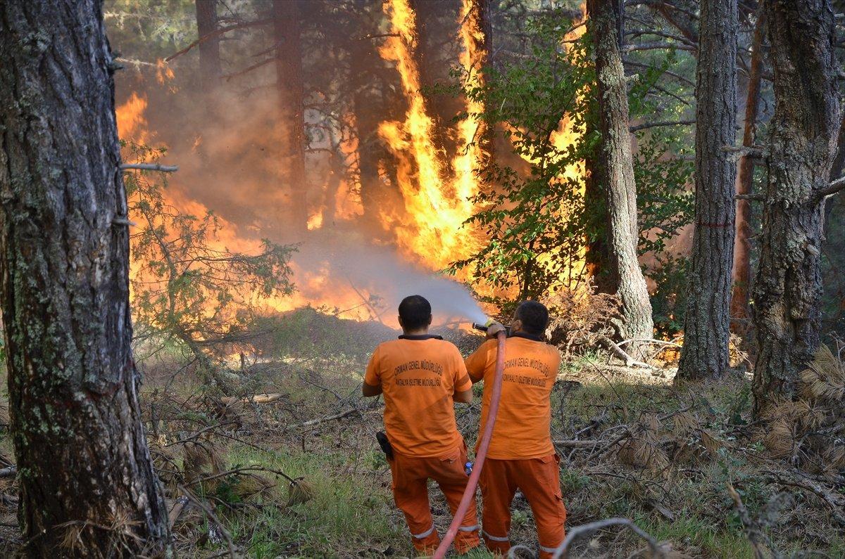 Çorum'daki yangında canını ortaya koyan ormancılar hastanede