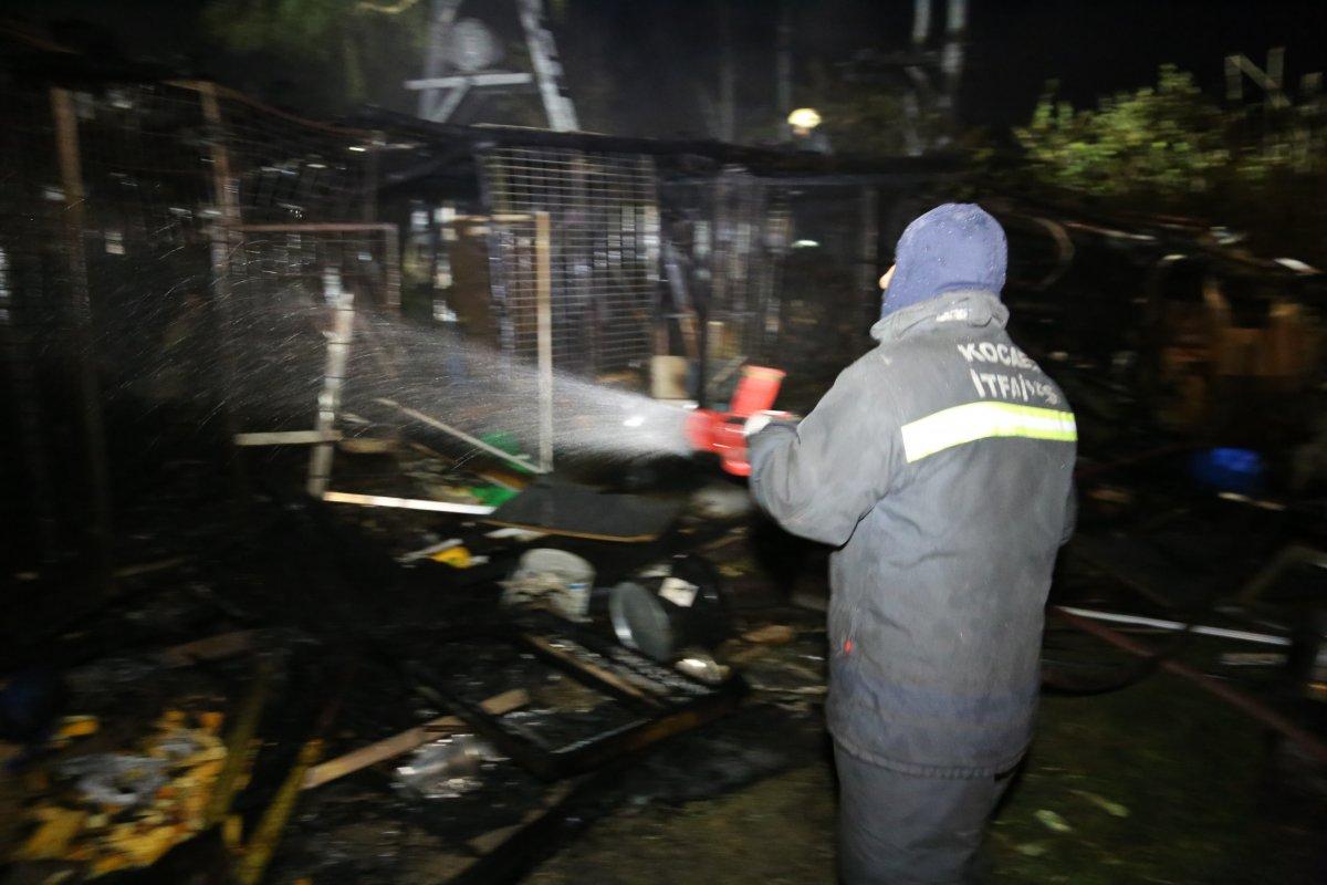 Gebze’deki çiftlikte kümesler yandı: 250’den fazla kanatlı hayvan telef oldu