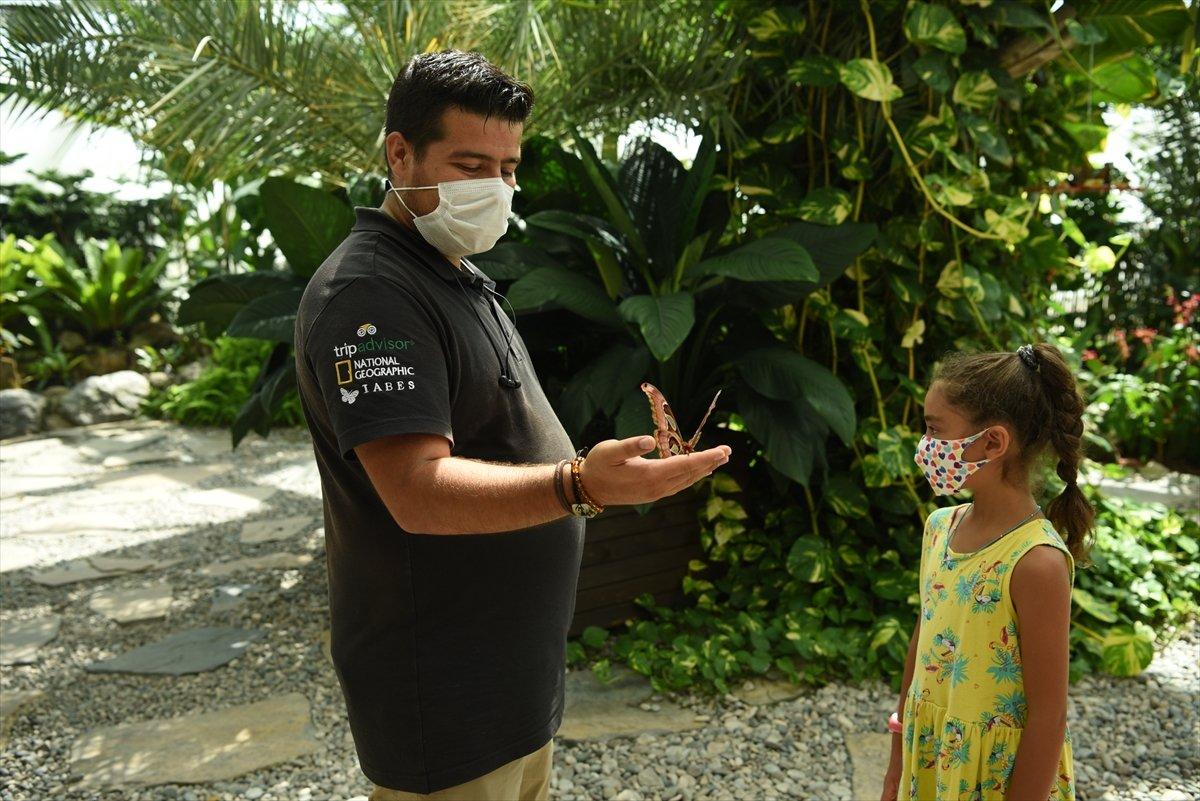 Konya'da dev kelebek Atlas'a büyük ilgi