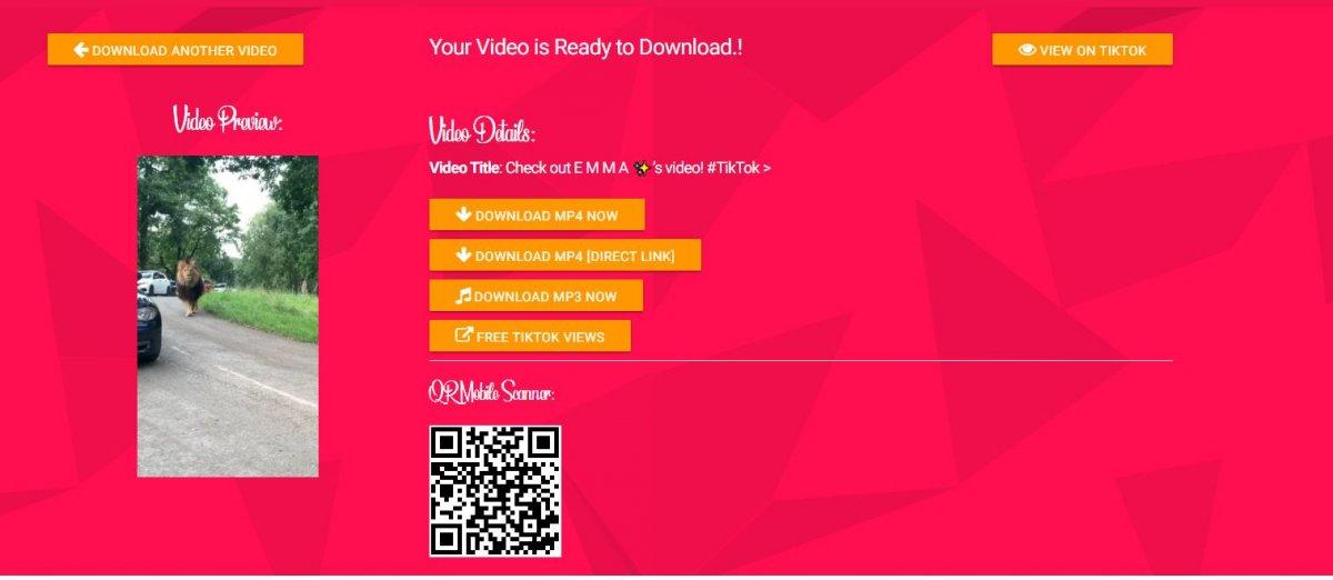 tiktok video indirme