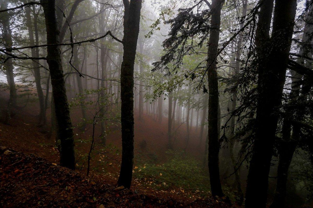 Domaniç Dağları'nda sonbahar kendini gösterdi