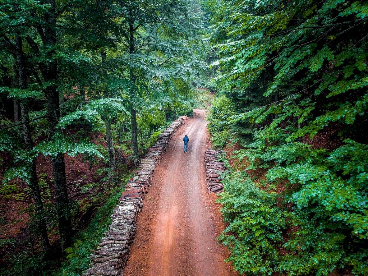 Domaniç Dağları'nda sonbahar kendini gösterdi