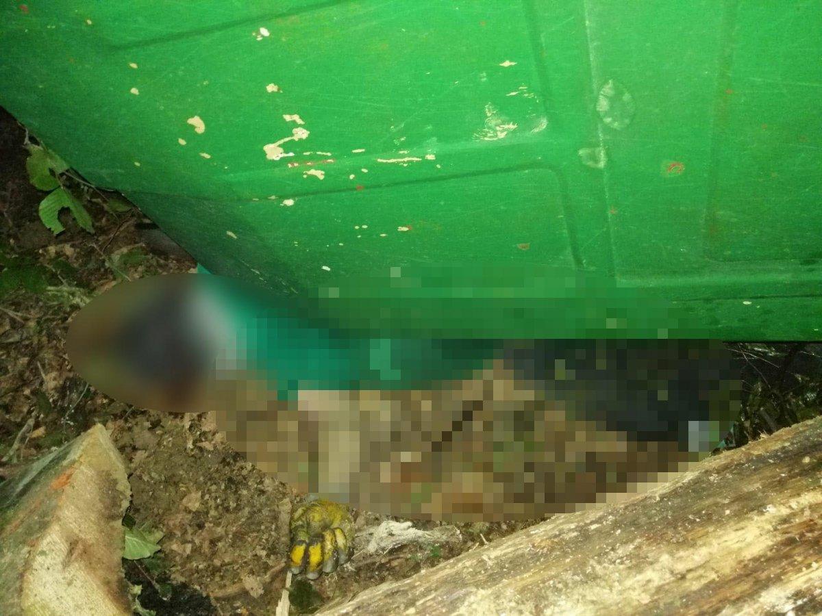 Bolu'da ölen babasının yanında saatlerce kurtarılmayı bekledi