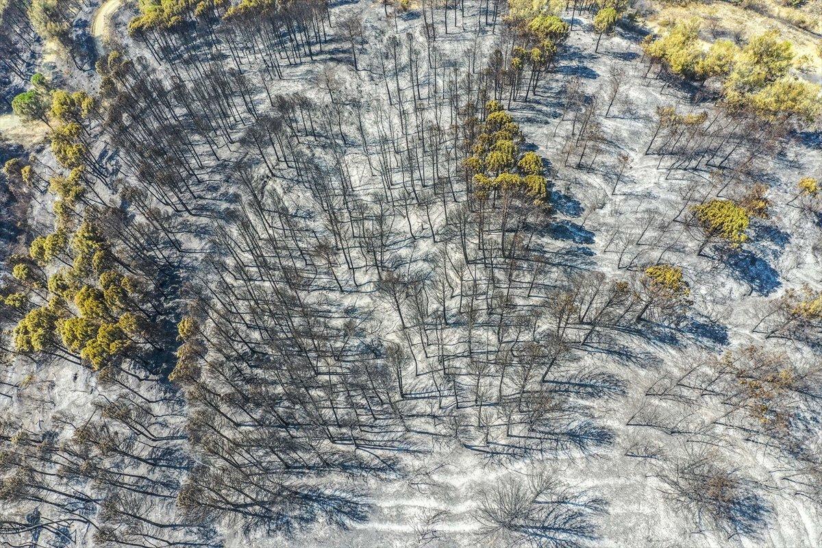 Hatay'da 5 gündür süren orman yangını kontrol altına alındı