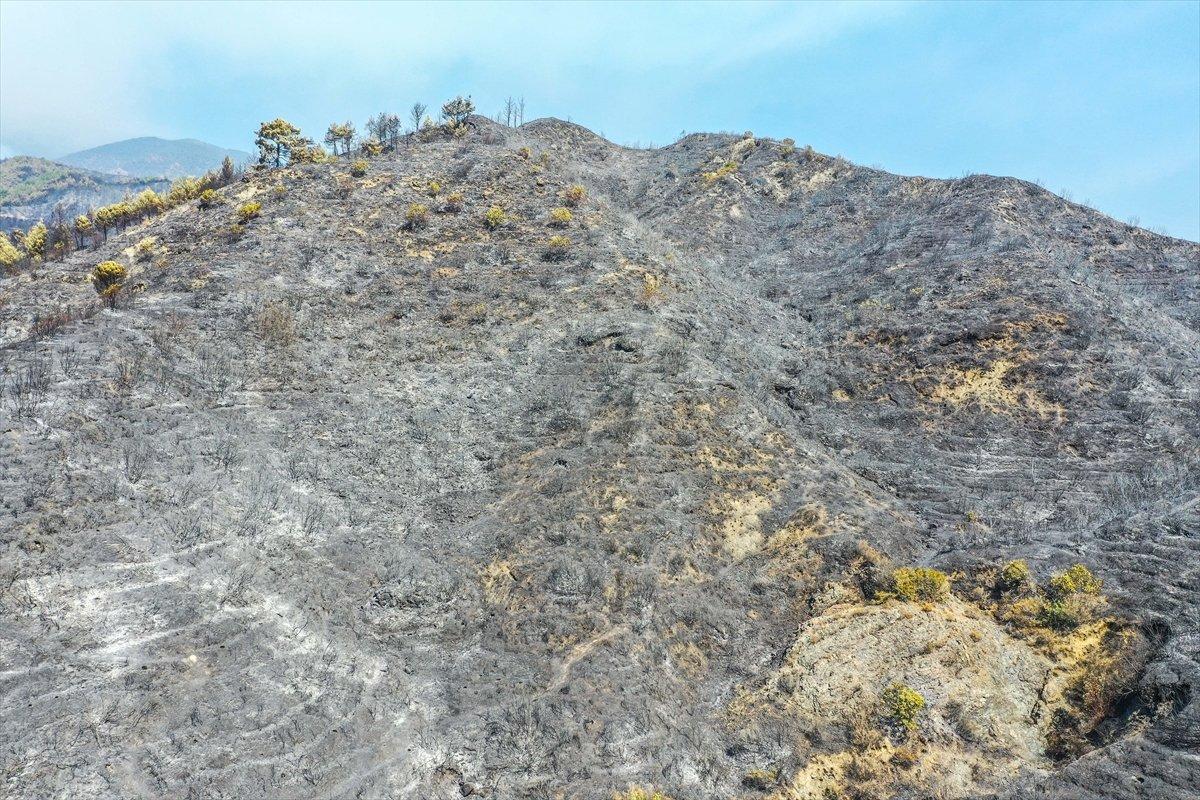 Hatay'da 5 gündür süren orman yangını kontrol altına alındı