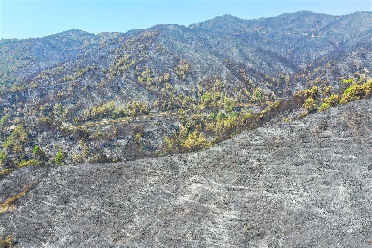 Hatay'da 5 gündür süren orman yangını kontrol altına alındı