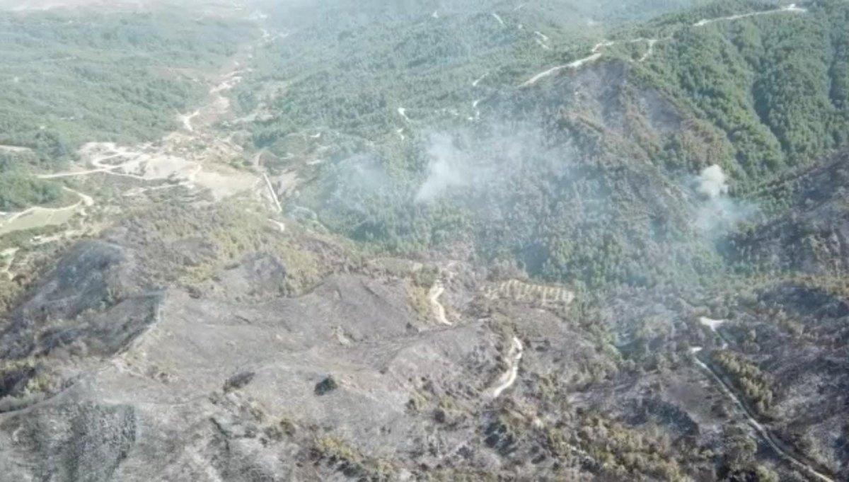 Hatay'da 5 gündür süren orman yangını kontrol altına alındı