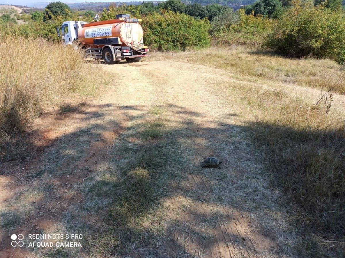 Lüleburgaz'da piknik alanında çıkan yangın söndürüldü