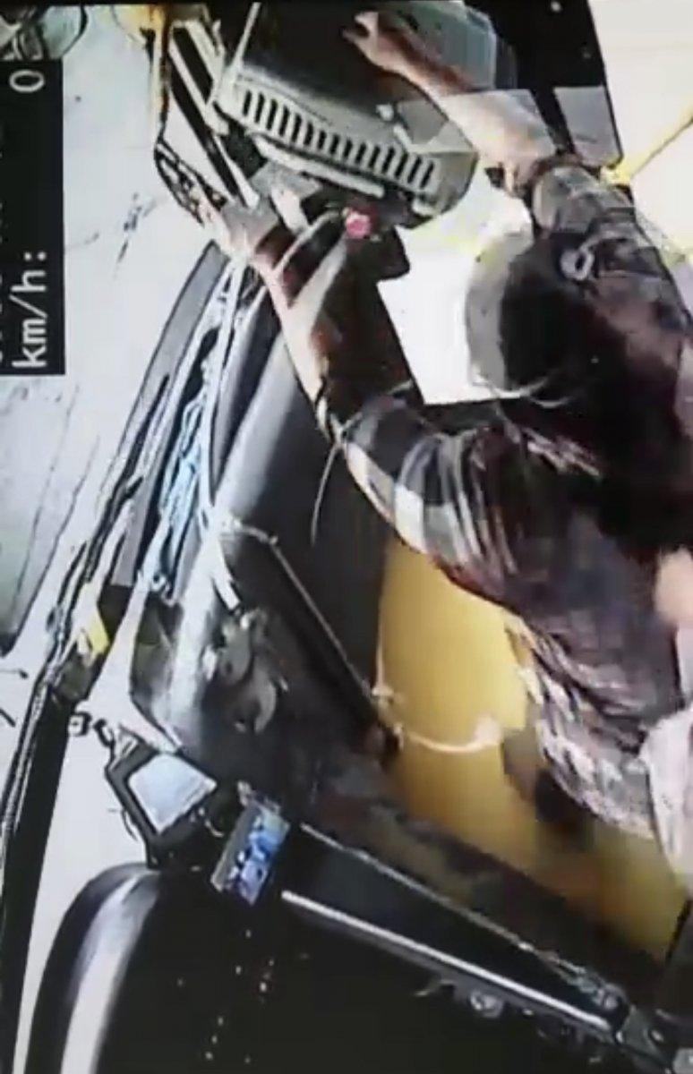 İstanbul'da otobüsün içinde, kafesinden kaçan kedinin o anları kamerada