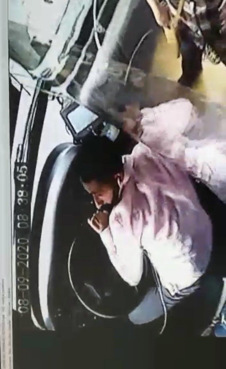 İstanbul'da otobüsün içinde, kafesinden kaçan kedinin o anları kamerada