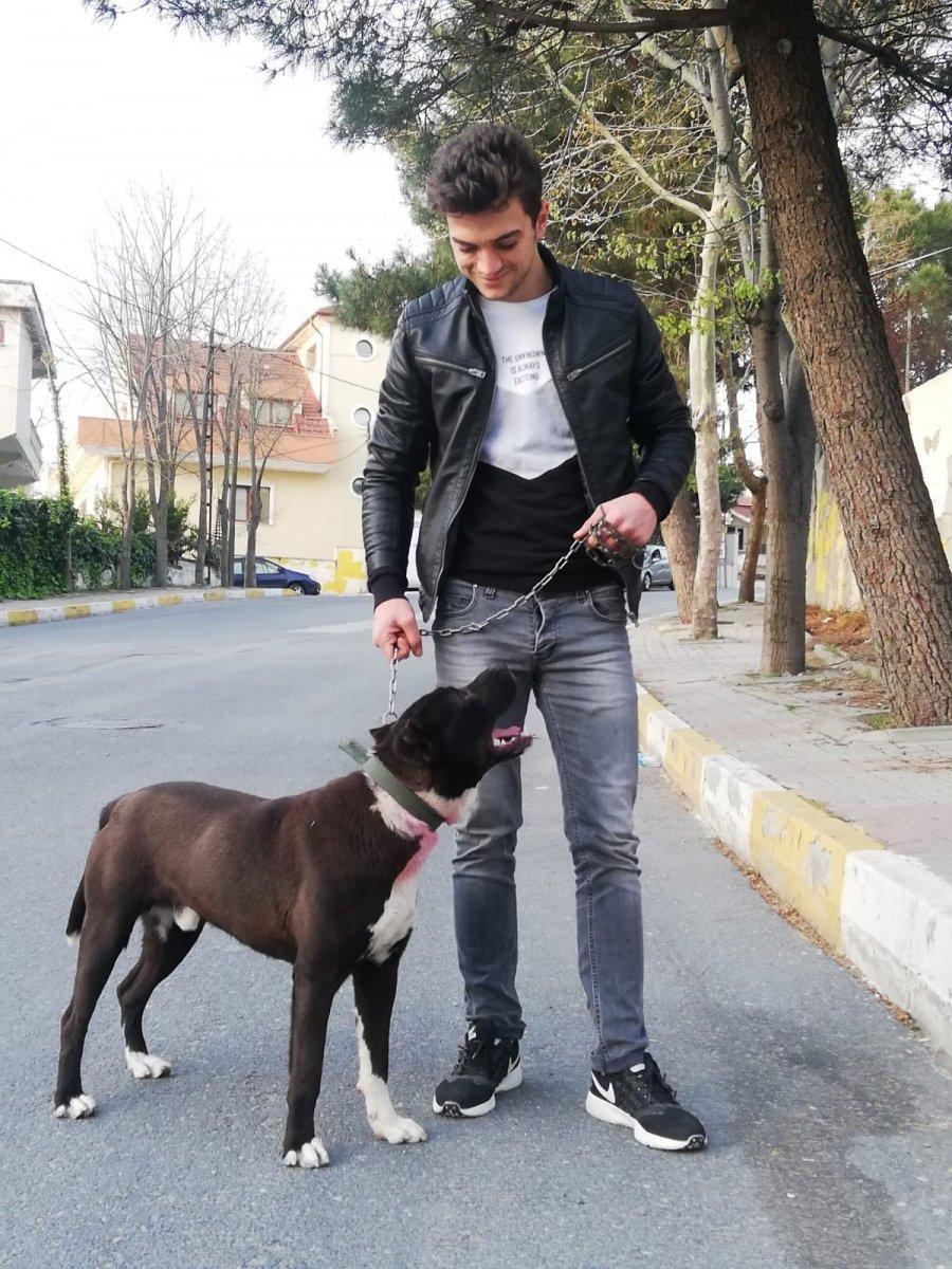 İstanbul'da 'kız meselesi' bahanesiyle 19 yaşındaki genç öldürüldü