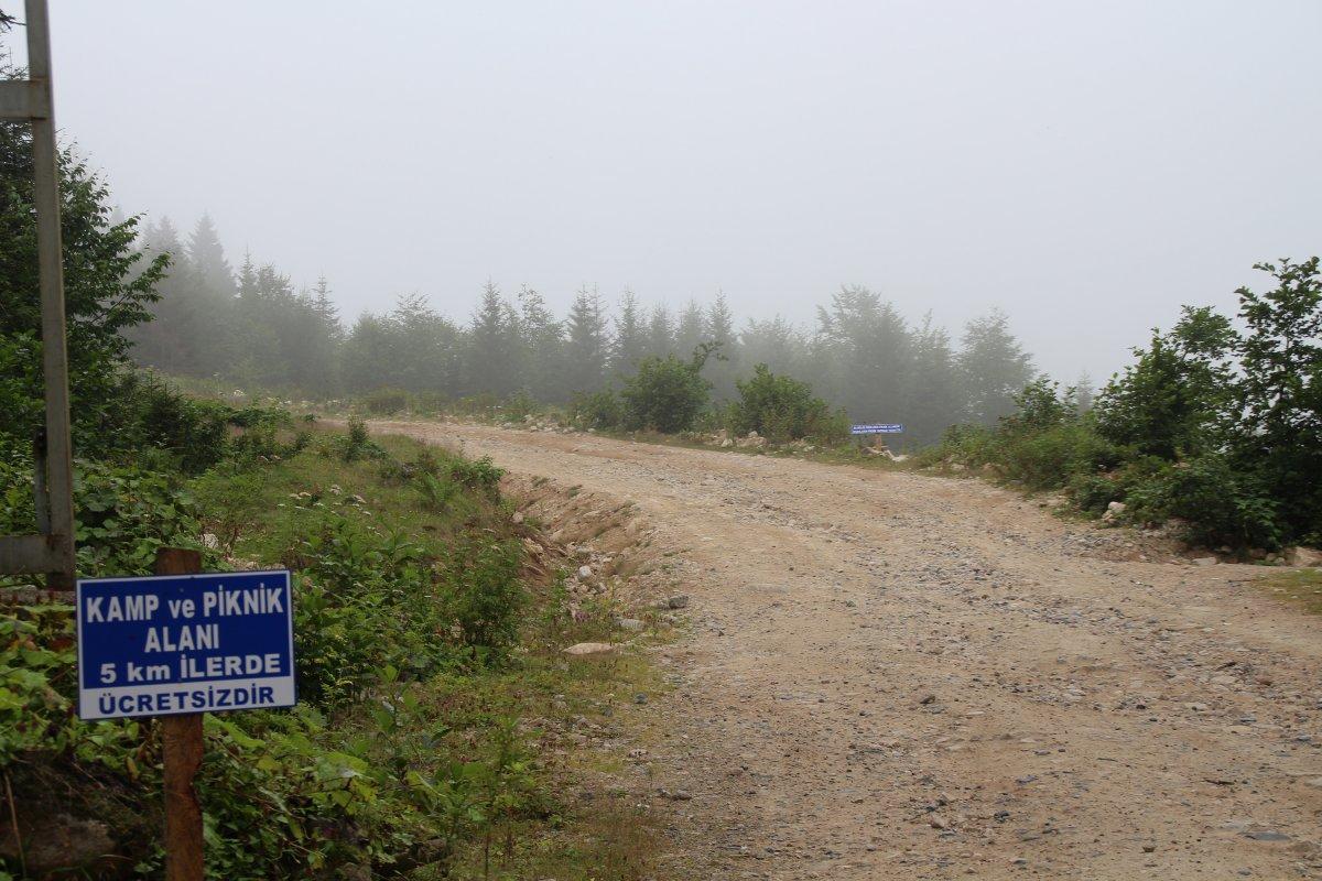 Rize'de yaylaya piknikçiler için uyarı tabelası bırakıldı: Bu bölge ineklerin piknik alanıdır