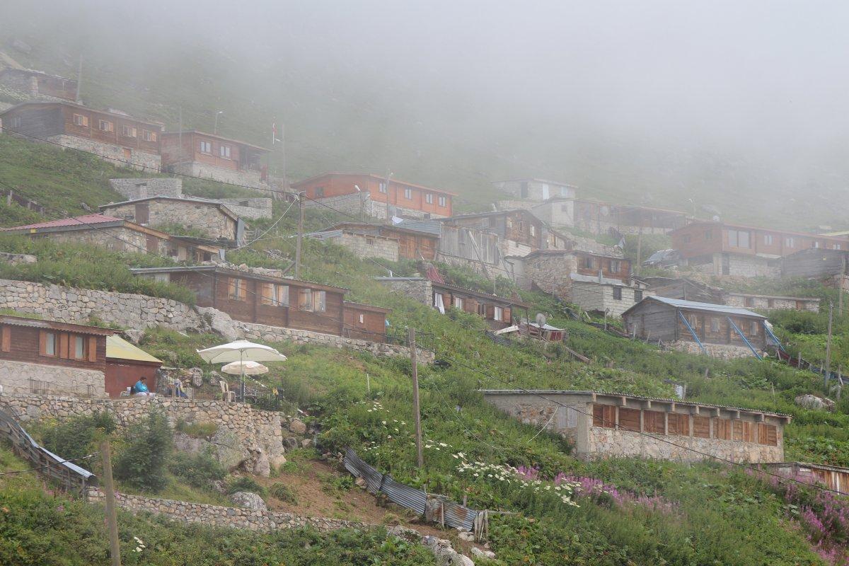 Rize'de yaylaya piknikçiler için uyarı tabelası bırakıldı: Bu bölge ineklerin piknik alanıdır