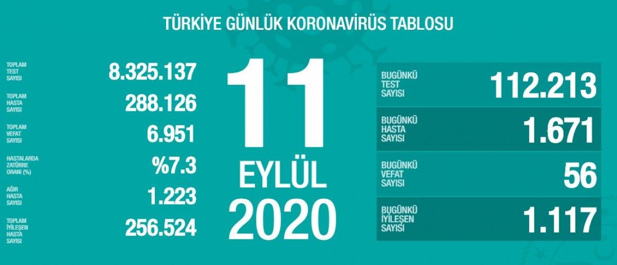 11 Eylül Türkiye'nin koronavirüs tablosu