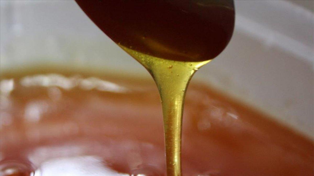 Deli bal nedir, nasıl kullanılır? Deli balın faydaları ve zararları neler? Deli bal tüketimi nasıl olmalı?