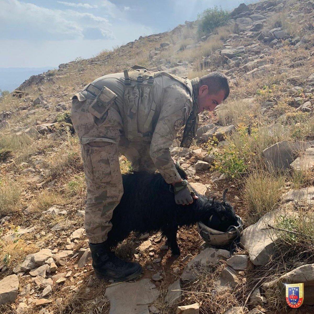 Jandarma Genel Komutanlığı'ndan keçiye su içiren asker paylaşımı