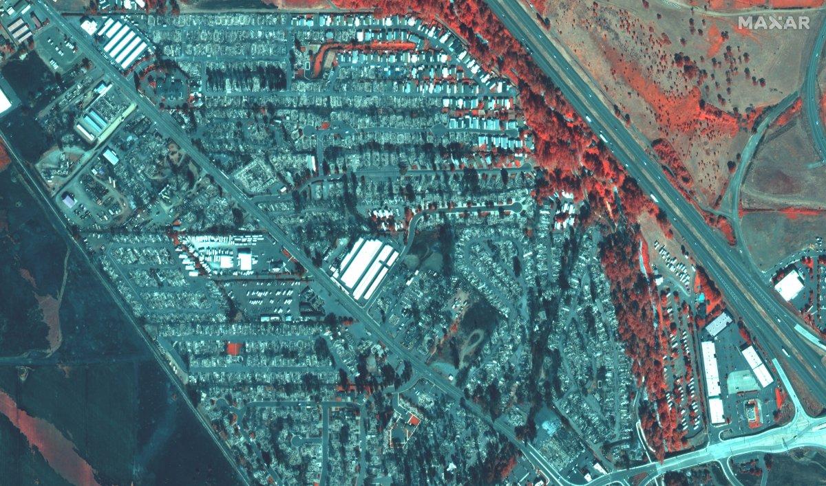 ABD'nin Oregon eyaleti, orman yangınlarına teslim oldu