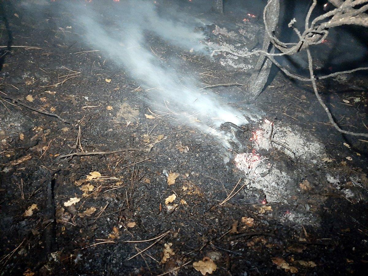 Karabük'te ormanlık alanda çıkan yangın söndürüldü