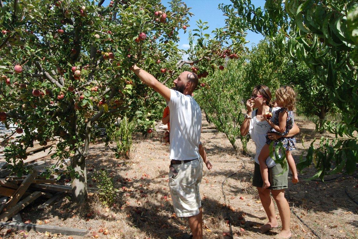 İsviçre'de evlenen çift, Alpler yerine Kazdağları'nı seçti