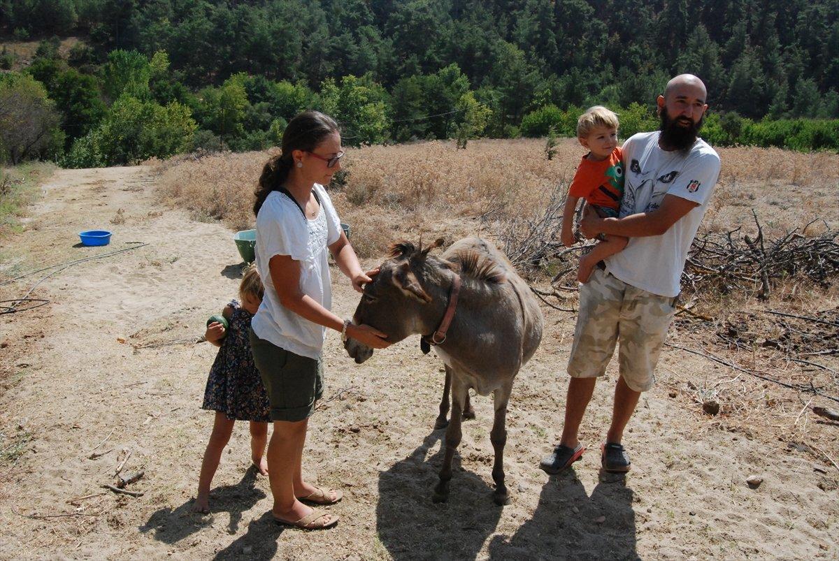 İsviçre'de evlenen çift, Alpler yerine Kazdağları'nı seçti
