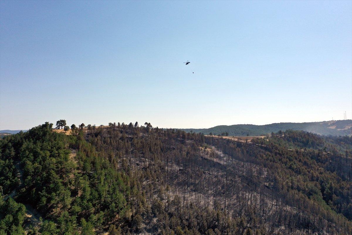 Çorum'da ormanlık alan yandı
