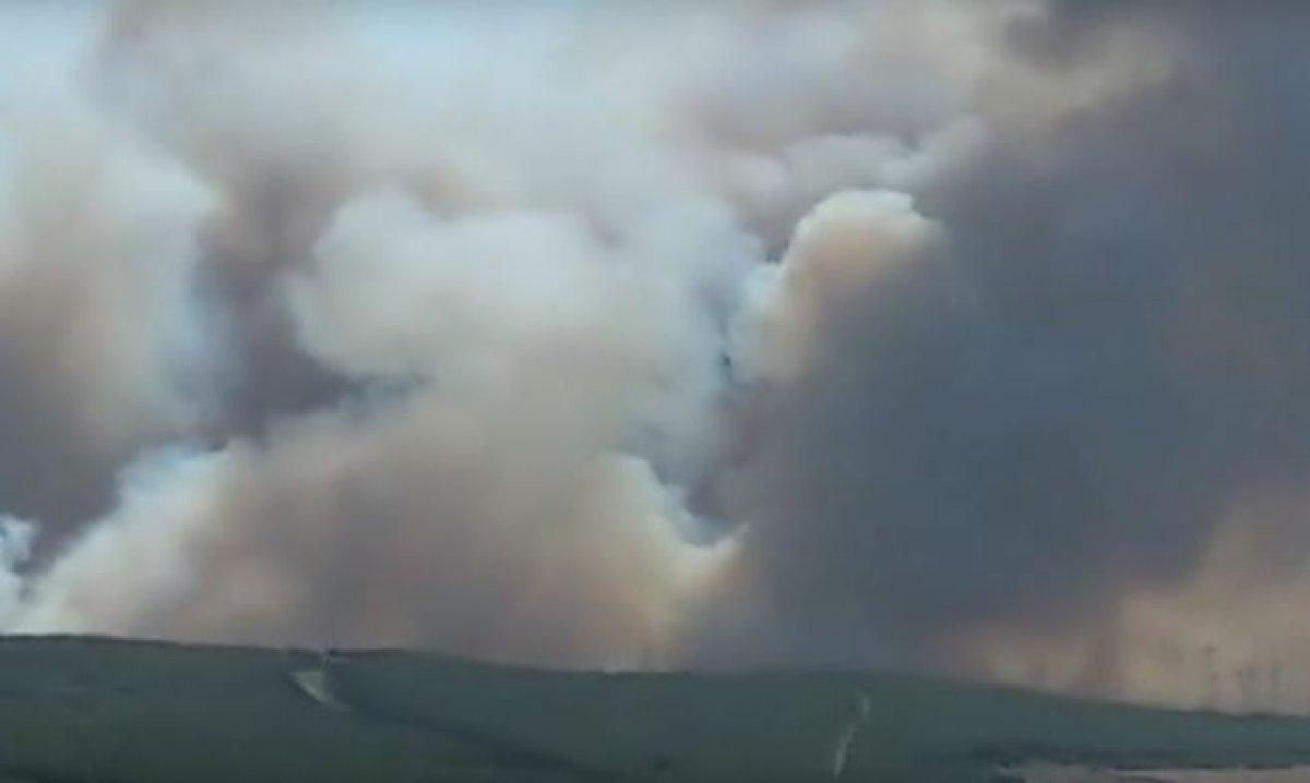 Gelibolu'da yeniden orman yangını çıktı