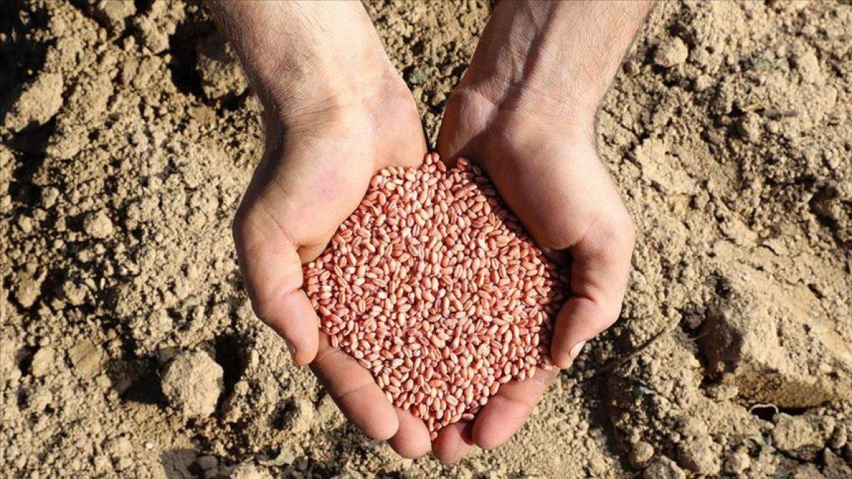 Tarım, ormancılık ve balıkçılık sektörü firmaları 10 yılda 6 kat büyüdü