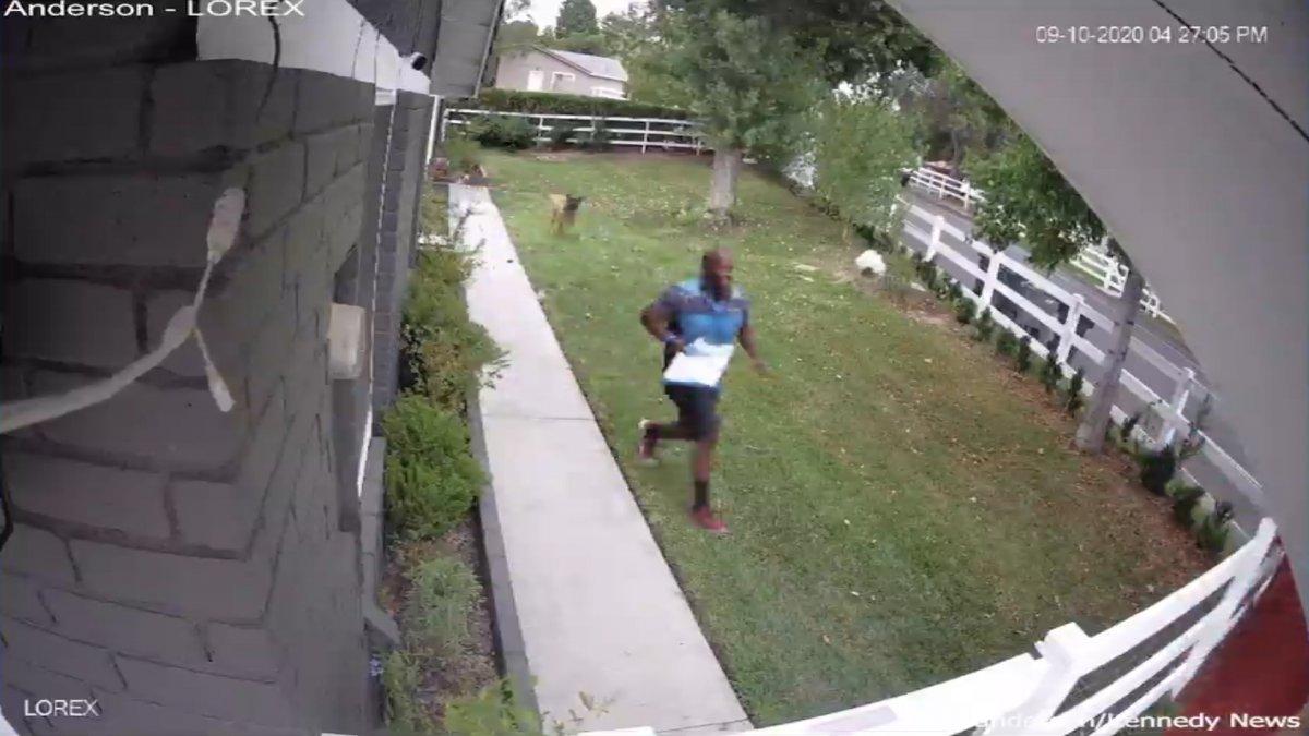 Amerika'da köpekten korkan kurye çitlerden atladı