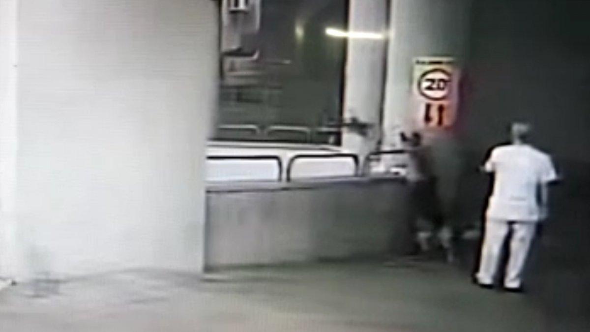 İstanbul'da köpeğin saldırdığı kedi 8. kattan düştü