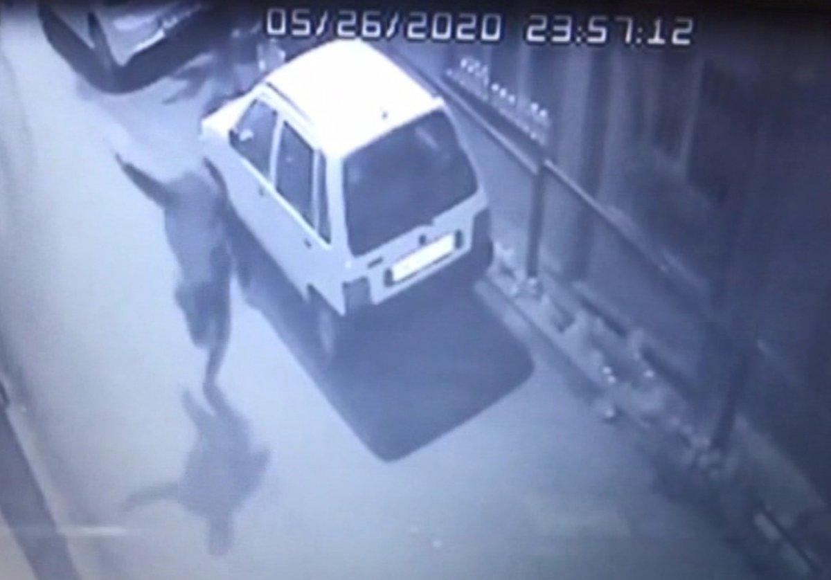 Şişli'de bir kişinin öldürüldüğü husumetli iki grubun kavga görüntüleri