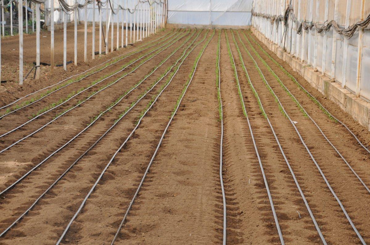 Kütahya'da köylüler, tarım arazilerinin 'sanayileştirilmesini' istemiyor