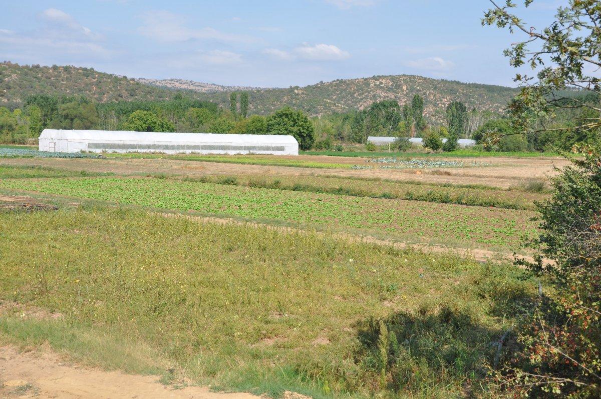 Kütahya'da köylüler, tarım arazilerinin 'sanayileştirilmesini' istemiyor