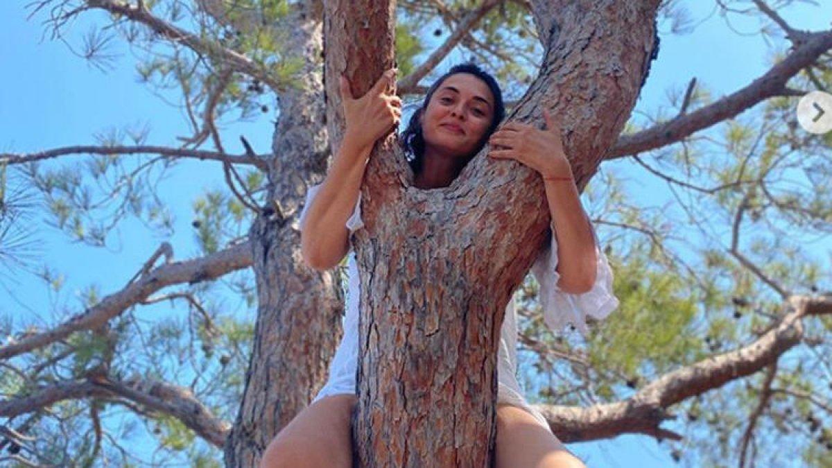 Aslıhan Gürbüz: O ağaç yandı