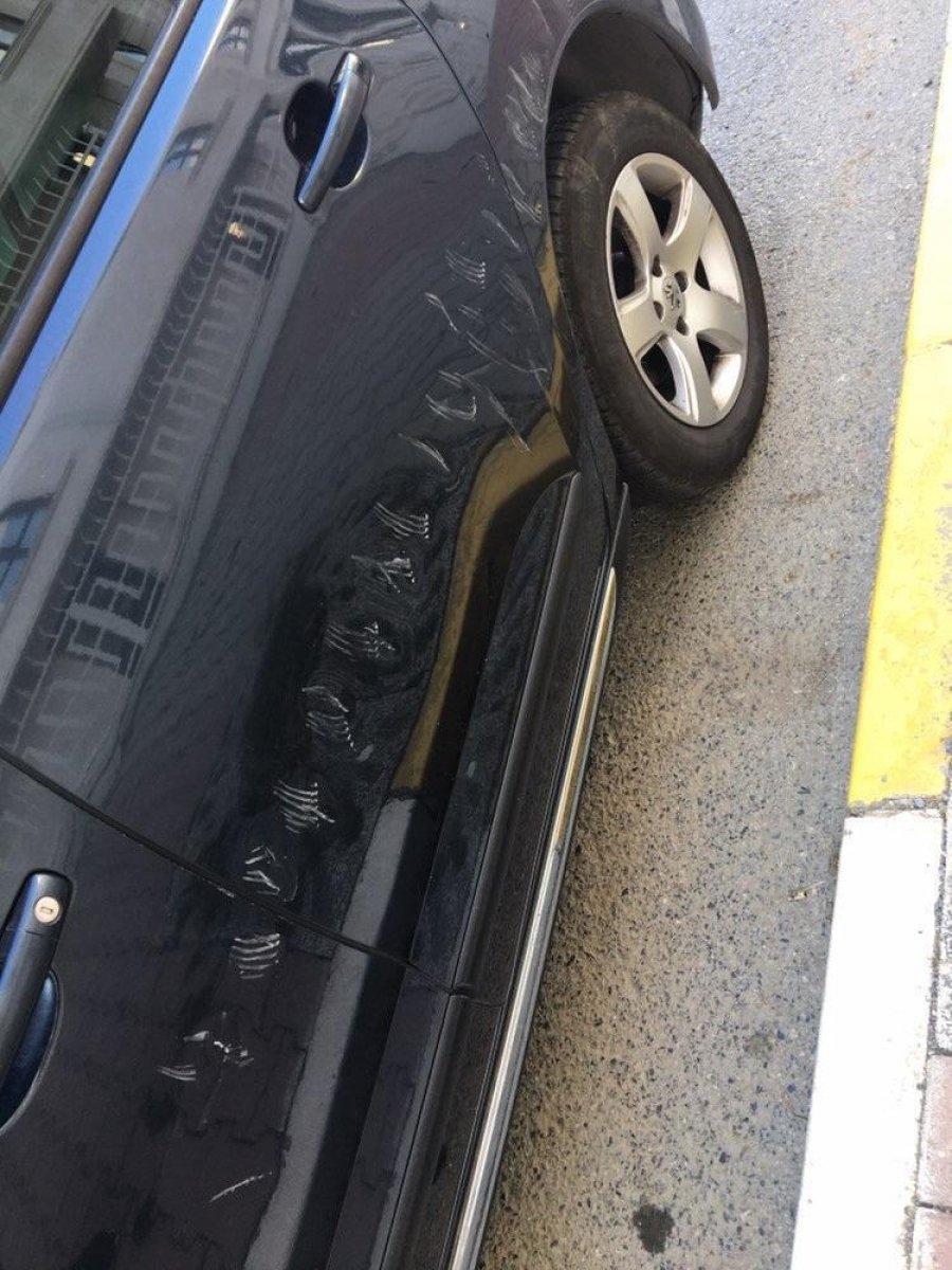 Çekmeköy'de boynuz darbeleriyle otomobile zarar veren keçi