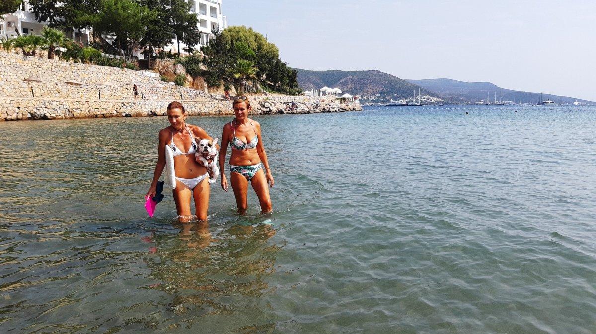 Muğla'da köpeğin sörf keyfi görenleri şaşırttı