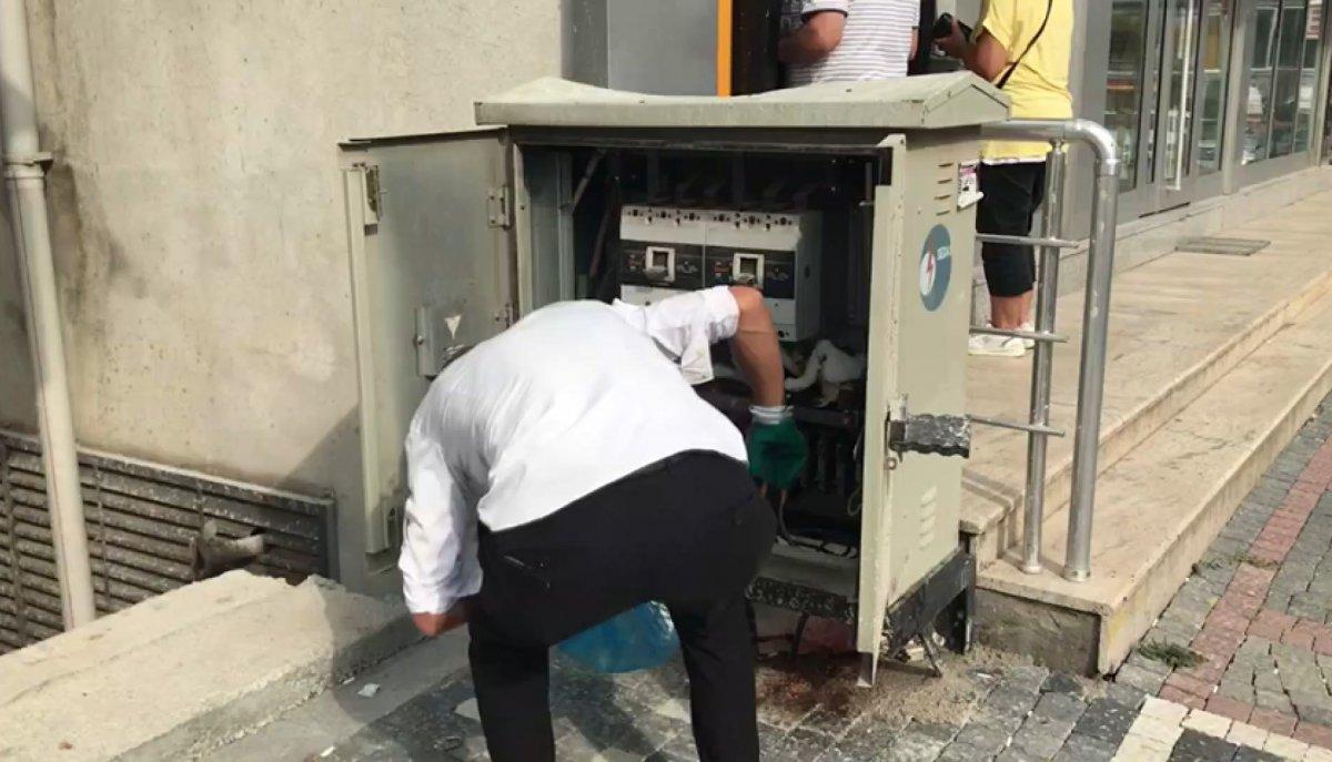 Sakarya’da trafoya giren kedi elektrik kesintisine neden oldu