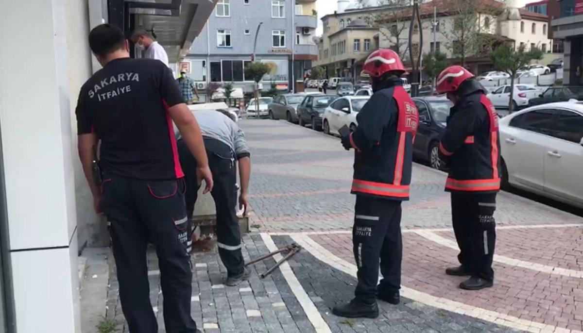 Sakarya’da trafoya giren kedi elektrik kesintisine neden oldu