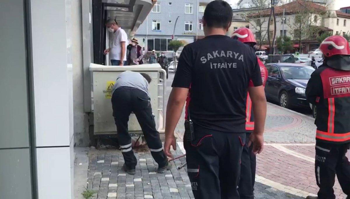 Sakarya’da trafoya giren kedi elektrik kesintisine neden oldu