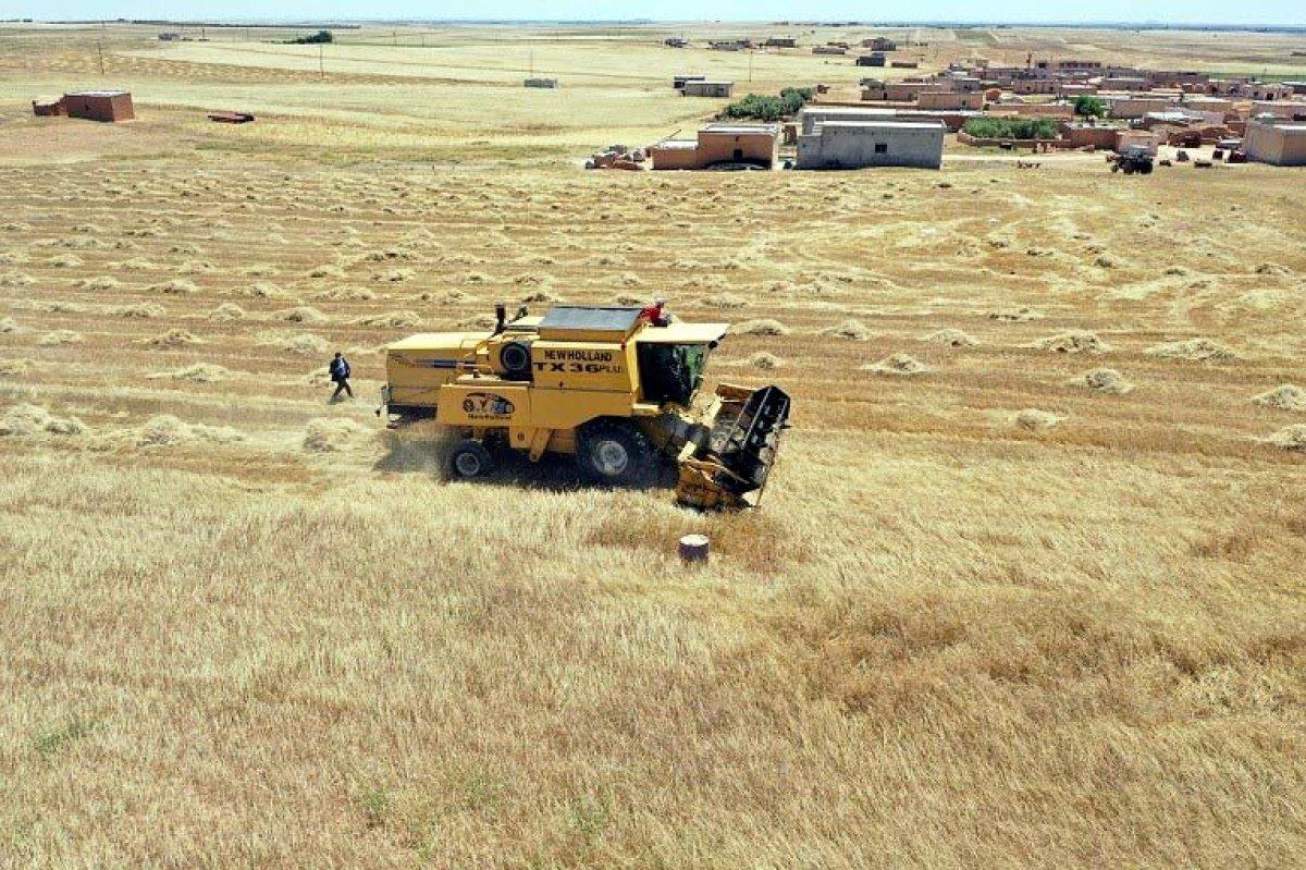 Teröristlerden temizlenen Tel Abyad'da ticaret başladı