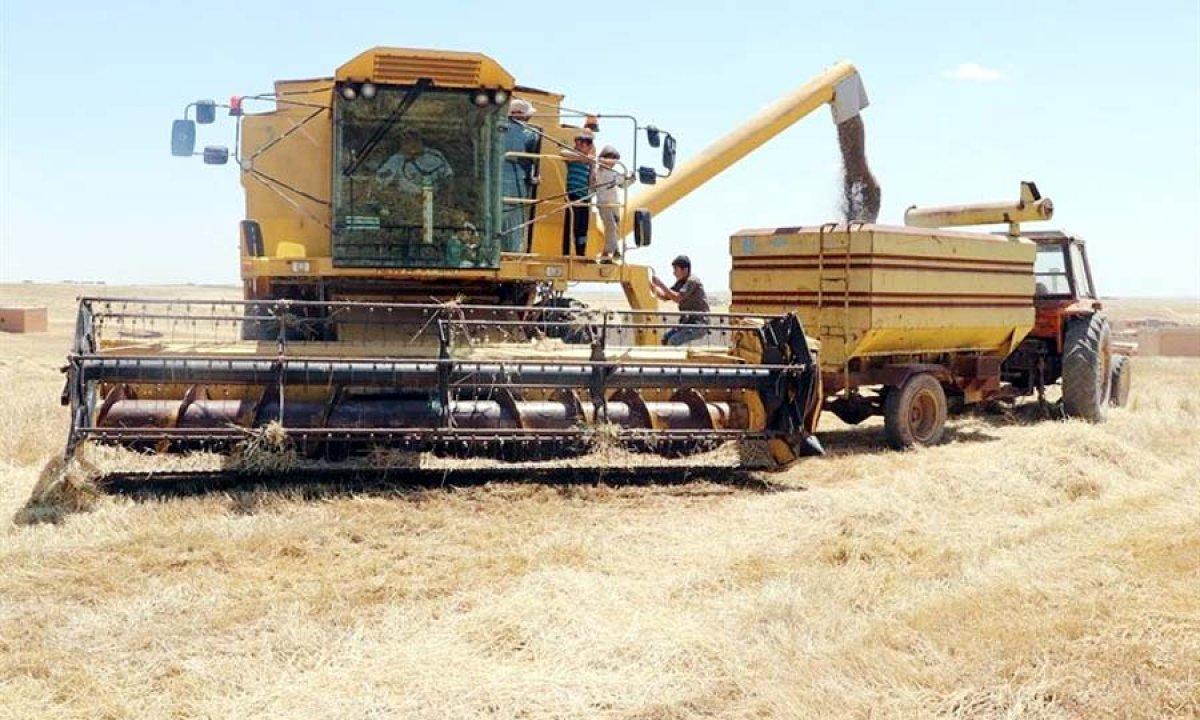 Teröristlerden temizlenen Tel Abyad'da ticaret başladı