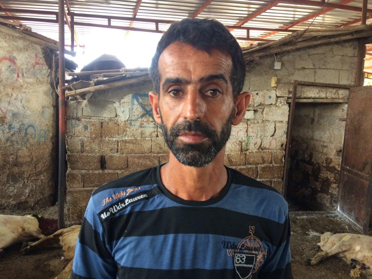 Hatay’da 3 büyükbaş ile 28 küçükbaş hayvan akıma kapılarak telef oldu