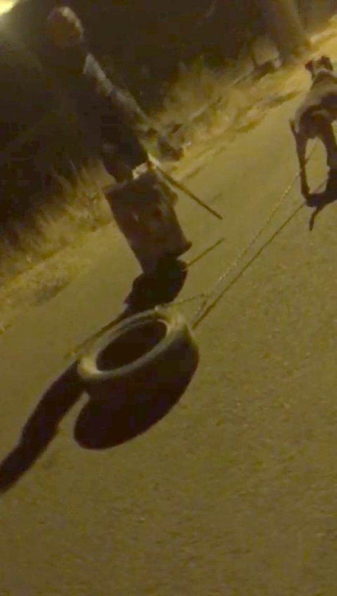 Mardin'de bir kişi köpeği zincirle lastiğe bağladı