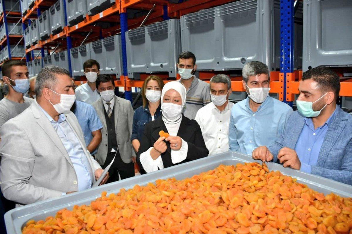 AK Parti'li Öznur Çalık, Malatya'da kuru kayısı deposunu ziyaret etti