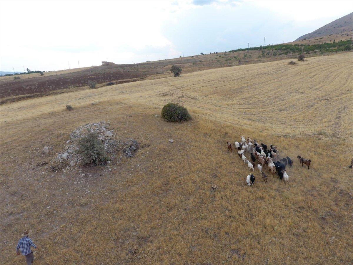 Elazığ'da Jandarma, kayıp sürüyü drone ile buldu