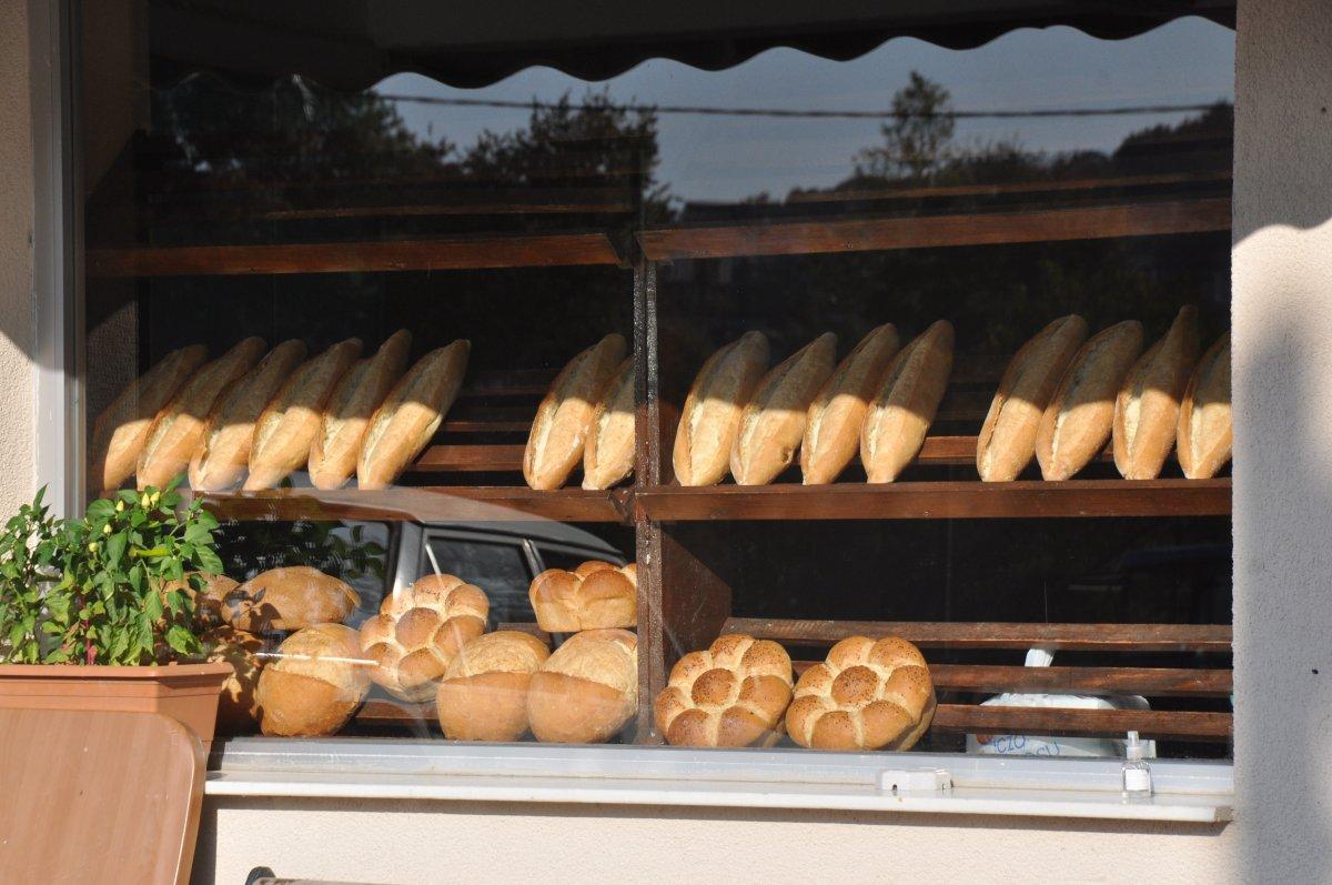 İstanbul'a 50 kilometre uzaktaki köyde kendilerini izole ettiler