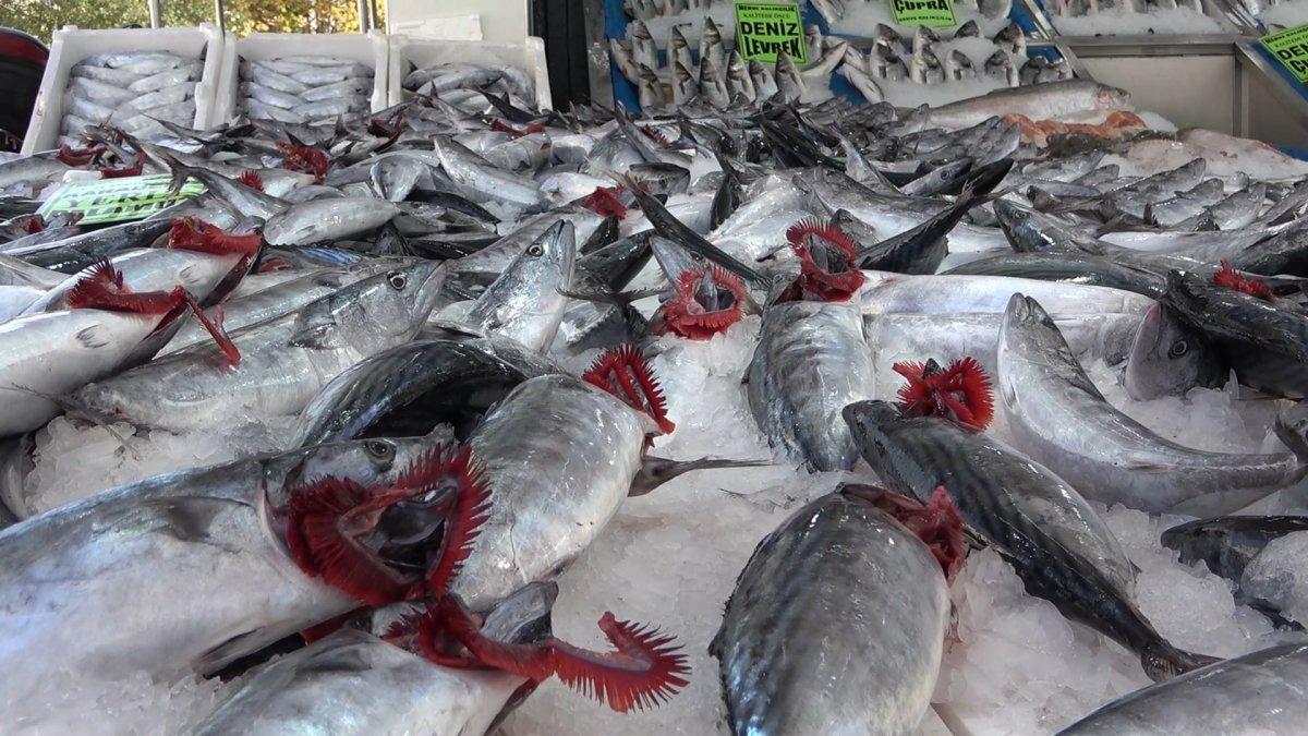 Karadeniz'deki palamut bolluğu, Kırıkkale'de tezgahların yüzünü güldürdü