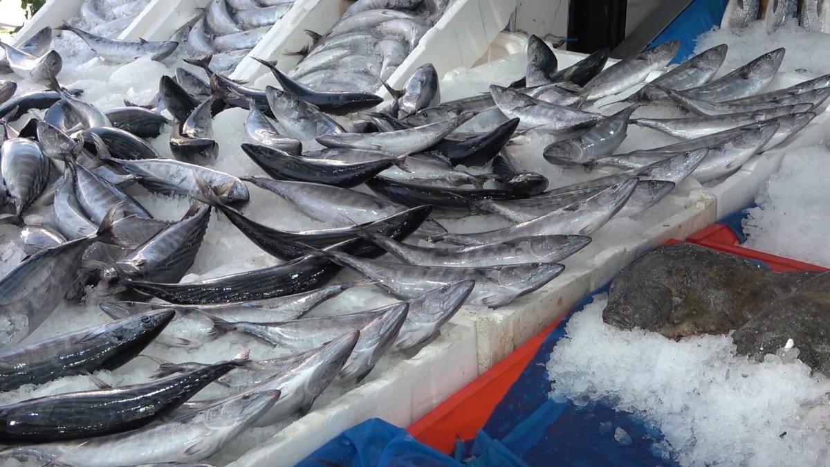 Karadeniz'deki palamut bolluğu, Kırıkkale'de tezgahların yüzünü güldürdü
