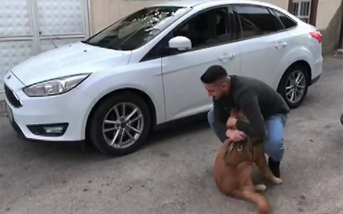 Kahramanmaraş'ta sahibine kavuşan köpeğin sevinci
